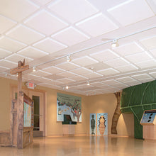 Load image into Gallery viewer, Melamine Flat Acoustic Panels